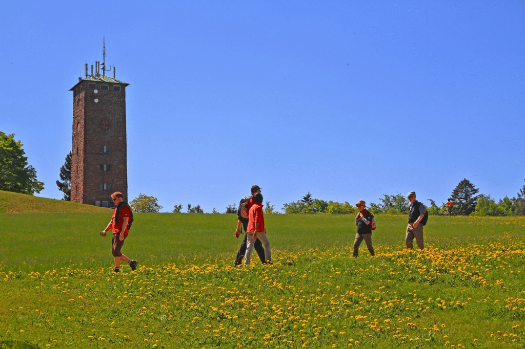 Wandertipp: Qualitätsweg "Ins Tal der Lehmänner" – Panorama und Bachromantik im Schwarzwald image 2