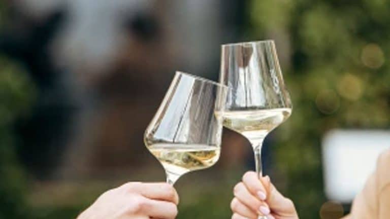Konstanzer Weinfest 2024: Regionaler Weingenuss, Live-Musik und mehr