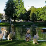 Karlsruher Nacht-Zoo: Ein Sommerabend voller Abenteuer und Entdeckungen Karlsruher Nacht-Zoo: Ein Sommerabend voller Abenteuer und Entdeckungen