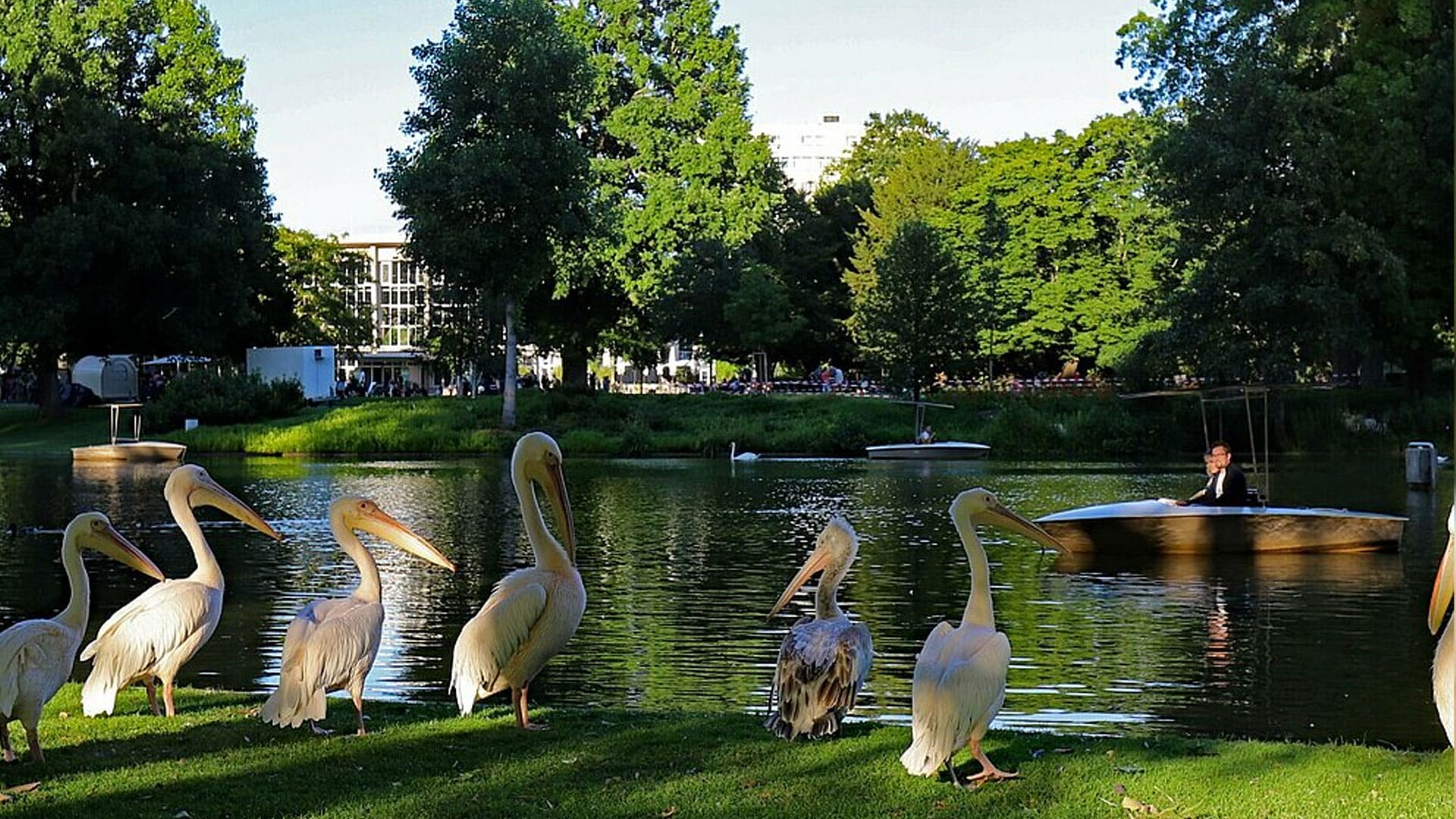 Karlsruher Nacht-Zoo: Ein Sommerabend voller Abenteuer und Entdeckungen