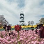 Sonne und Wolken im Wechselspiel: Das Wetter in Baden-Württemberg am 24.07.24 Sonne und Wolken im Wechselspiel: Das Wetter in Baden-Württemberg am 24.07.24