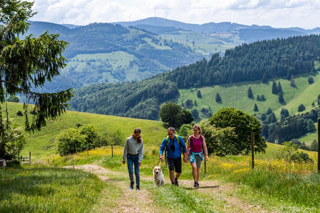 Wandern am Belchen