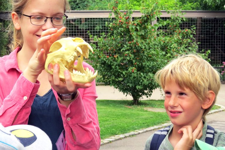 Spannende Abenteuer für Kinder: Sommerferienprogramm in der Wilhelma