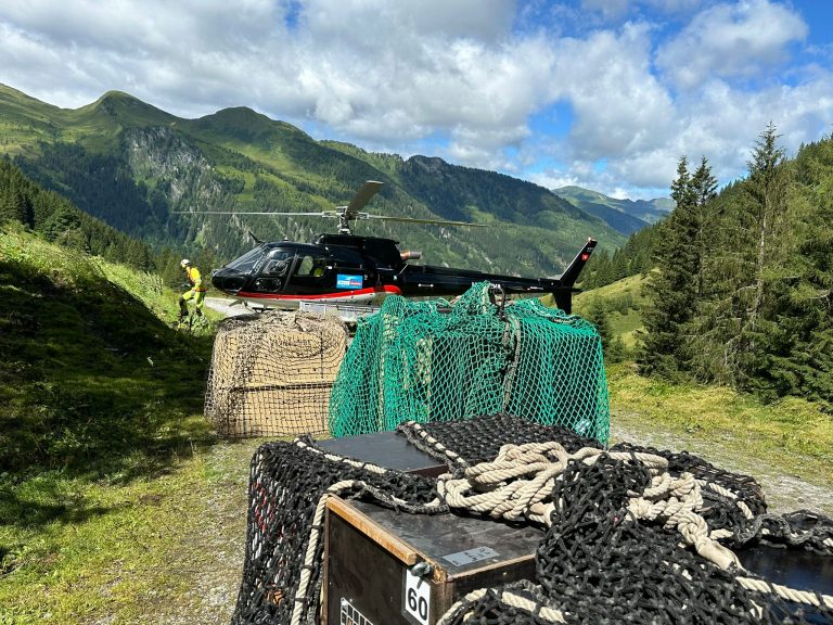 Alpensteinböcke kehren in die Freiheit zurück: Steinböcke aus der Wilhelma in Österreich ausgewildert