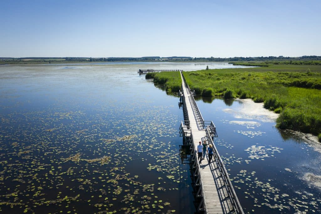 Der Federsee war einst viel größer und umfasste auch das Gebiet des heutigen Waldes. Heute ist er der zweitgrößte See in Baden-Württemberg, meist nur 1 Meter tief, maximal aber 3,50 Meter.  

