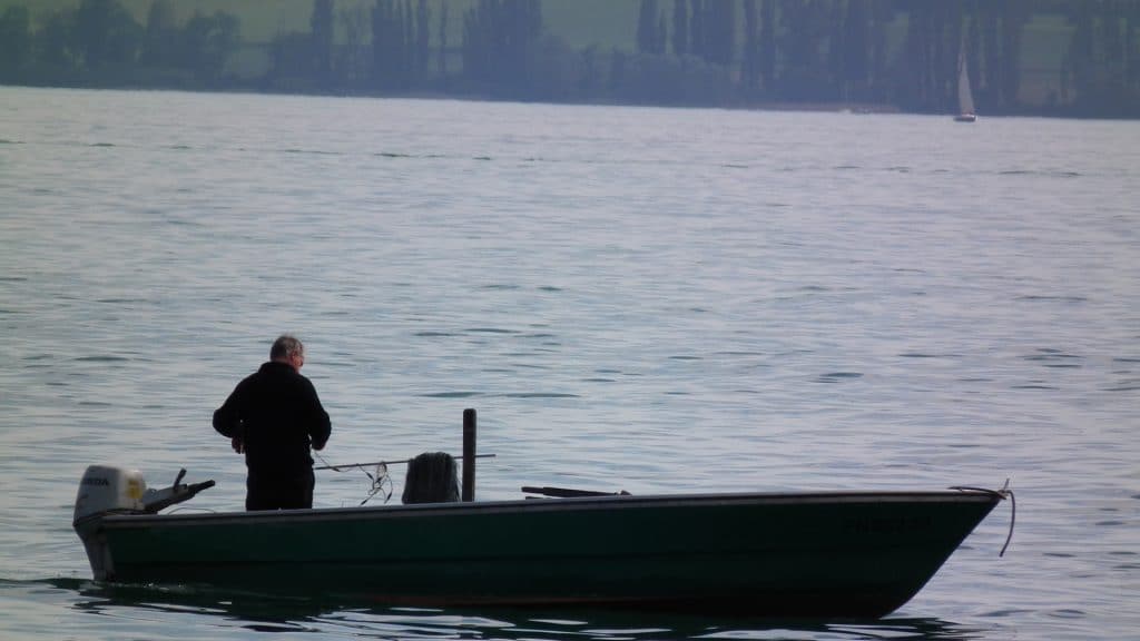 Studie: Klimawandel bedroht Felchen im Bodensee – See wird immer wärmer