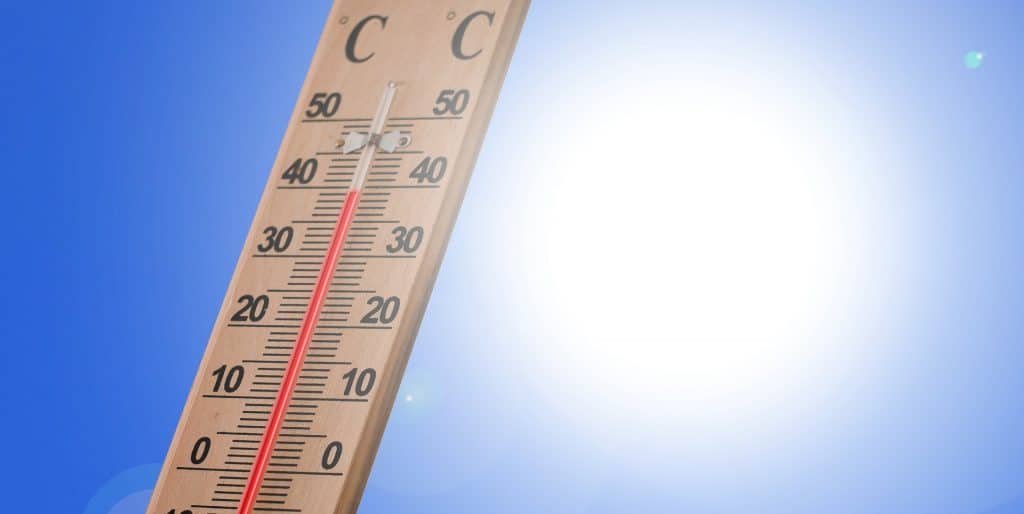 Extreme Hitzewelle mit 46 Grad aus Südeuropa erreicht Baden-Württemberg: So heiß wird es am Wochenende