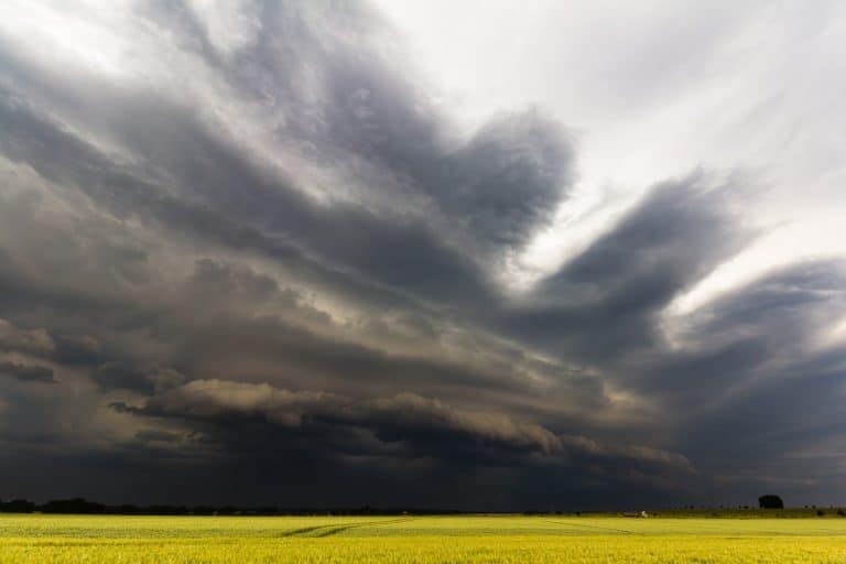 Wetter 15.07.24: Sommerliche Hitze und aufziehende Gewitter in Baden Württemberg