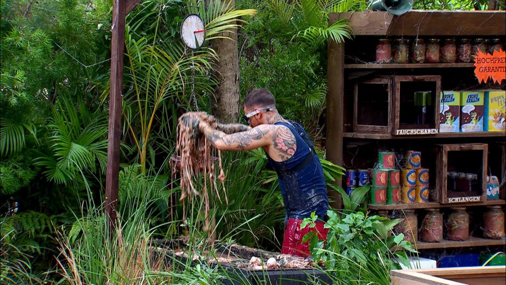 Schon wieder Drama im Dschungelcamp: Legenden packen ihre Emotionen aus – Zoff und Tränen an Tag 4 235BC 1 1