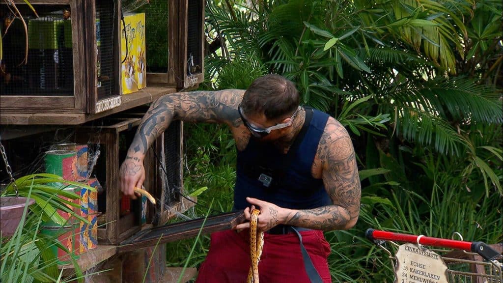 Schon wieder Drama im Dschungelcamp: Legenden packen ihre Emotionen aus – Zoff und Tränen an Tag 4 31577 1