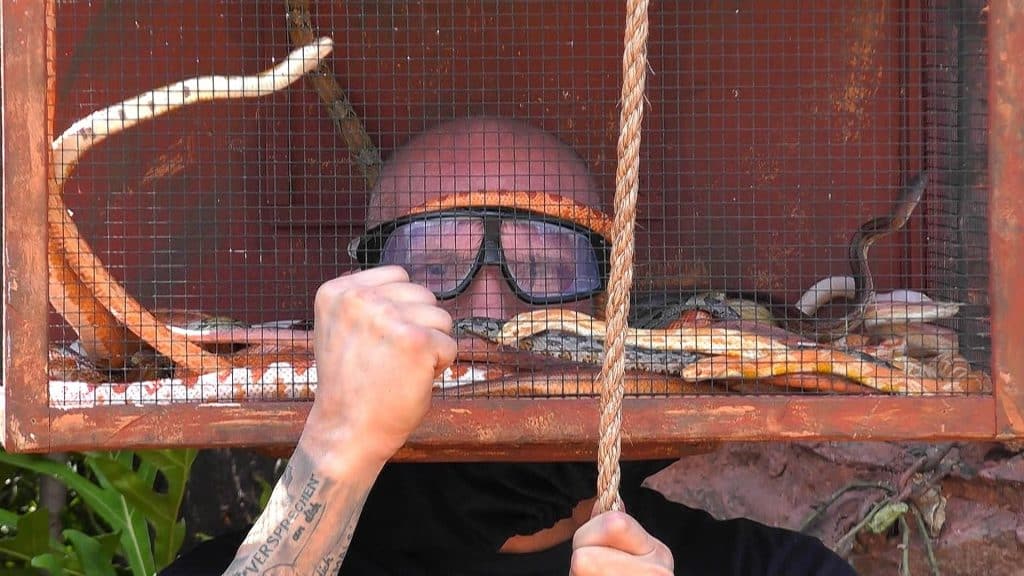 Drama pur im Dschungelcamp! Tränen, Zoff und Höhenangst bei den Stars an Tag 4 33211
