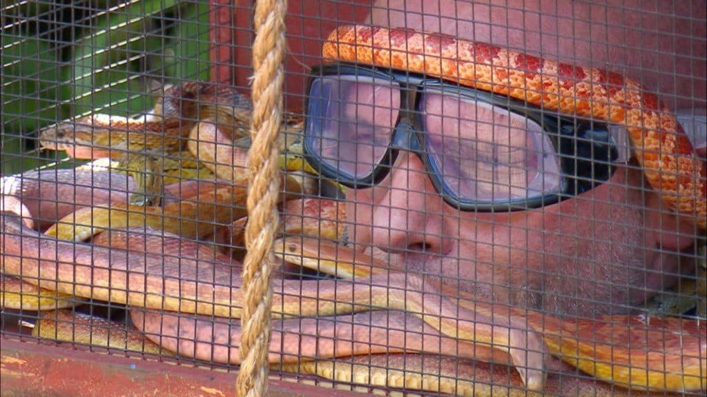 Drama pur im Dschungelcamp! Tränen, Zoff und Höhenangst bei den Stars an Tag 4 46A79 3