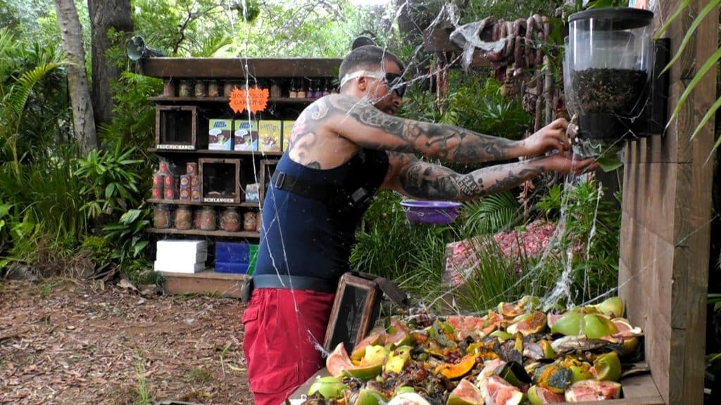 Schon wieder Drama im Dschungelcamp: Legenden packen ihre Emotionen aus – Zoff und Tränen an Tag 4 72964 1