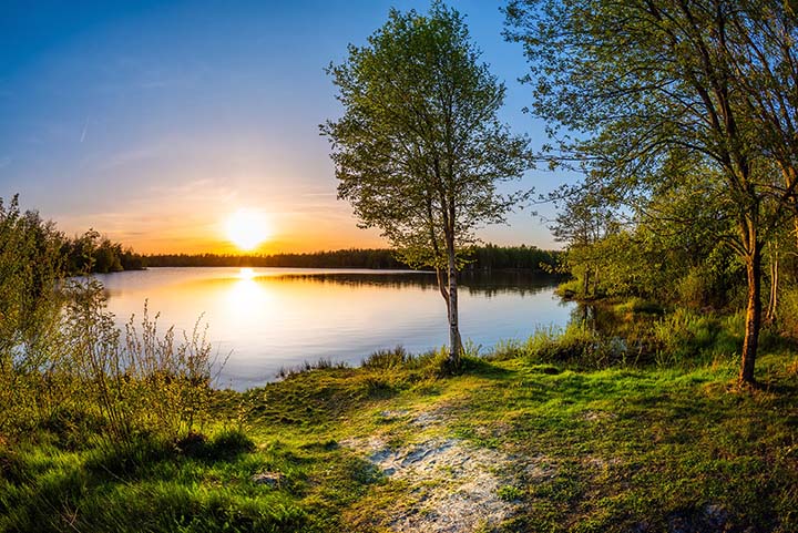 Wahl zu Deutschlands Naturwunder des Jahres 2024: Baden-Württembergs Fuchslabyrinth im Rennen