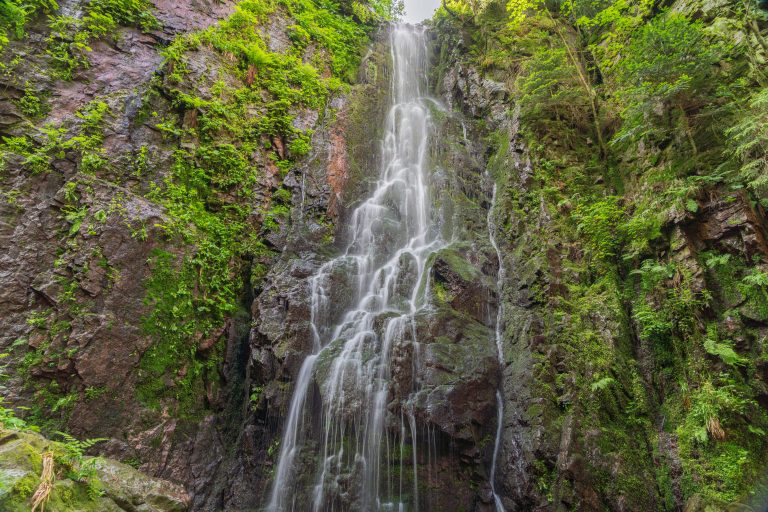 Wandertipp im Schwarzwald: Durch das idyllische Wolftal zum Burgbachwasserfall