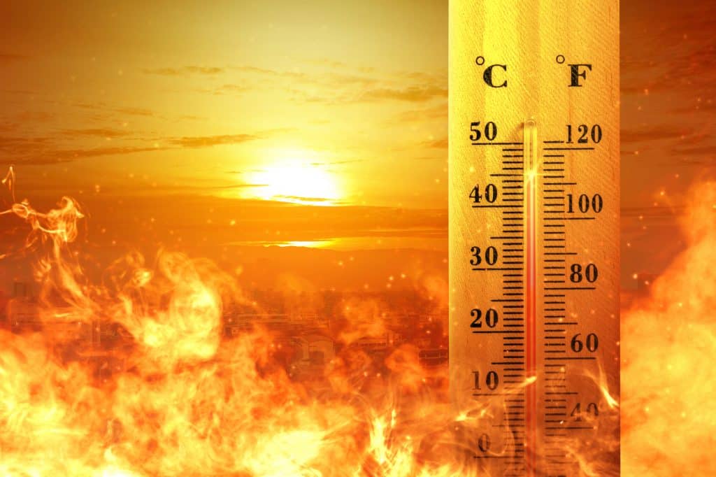 Hitze-Hammer: Bis zu 40 Grad in Baden-Württemberg – heftige Gewitter ab Montag