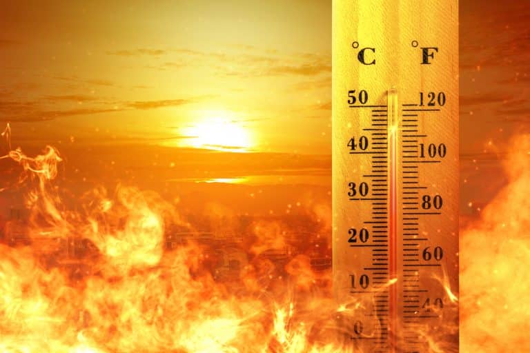 Hitze-Hammer: Bis zu 40 Grad in Baden-Württemberg – heftige Gewitter ab Montag