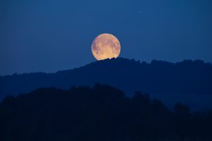 Der Supermond ist da – und er zeigt sich spektakulär