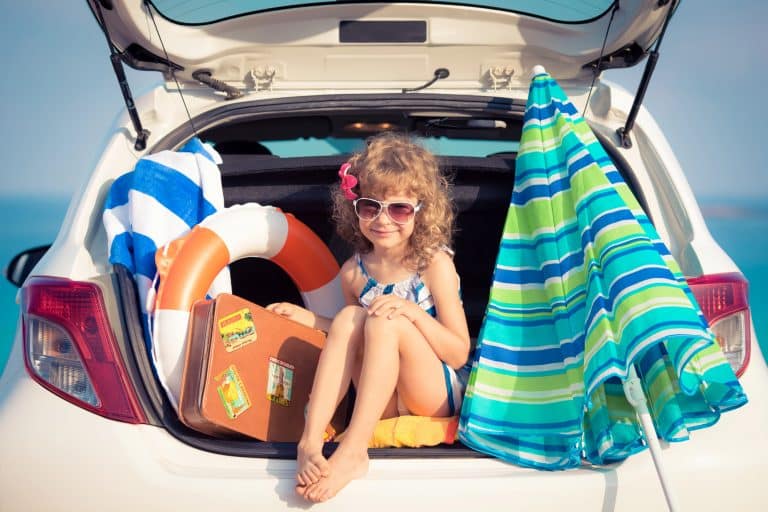 Sicher unterwegs in den Urlaub: So kommen Hund, Katze und Surfbrett sicher ans Ziel