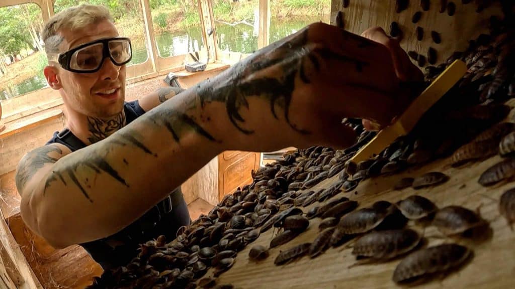 Erster Knall im Dschungelcamp: Kandidat fliegt bereits nach zwei Tagen raus! 6 Erster Knall im Dschungelcamp: Kandidat fliegt bereits nach zwei Tagen raus! ED5E4