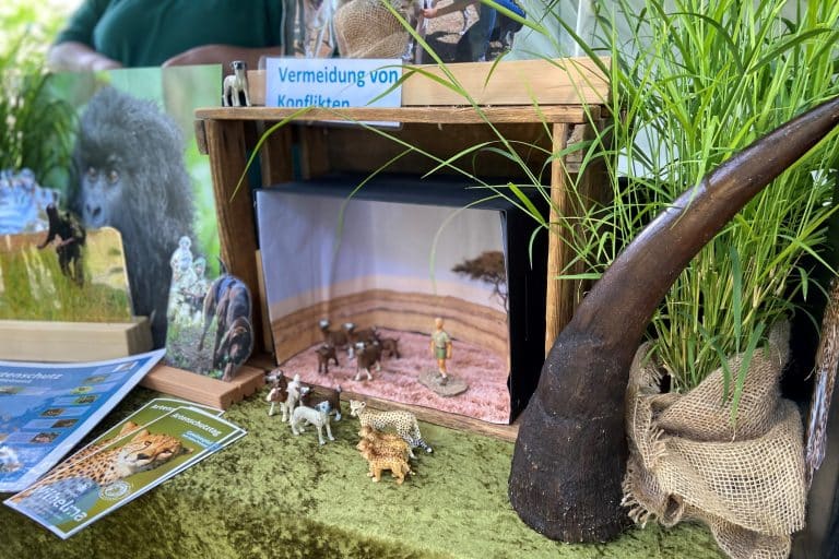 Artenschutztag am 1. September: „Für uns in der Wilhelma ist jeden Tag Artenschutztag“ – Einblick in weltweite Artenschutzprojekte Artenschutztag am 1. September: „Für uns in der Wilhelma ist jeden Tag Artenschutztag“ – Einblick in weltweite Artenschutzprojekte