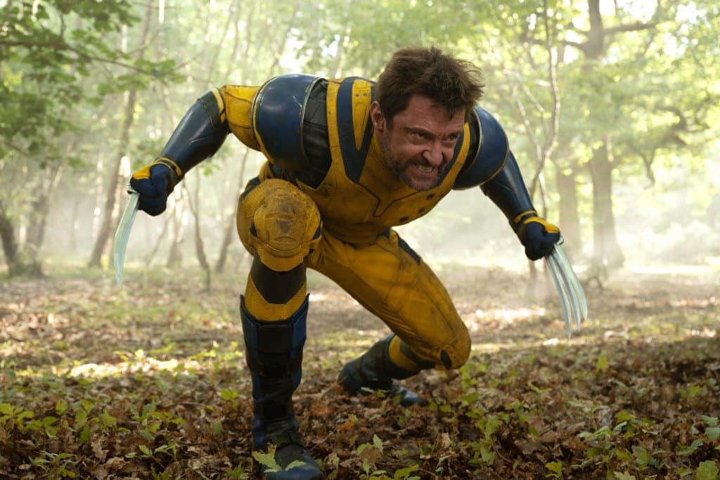 Hugh Jackman als Wolverine/Logan
