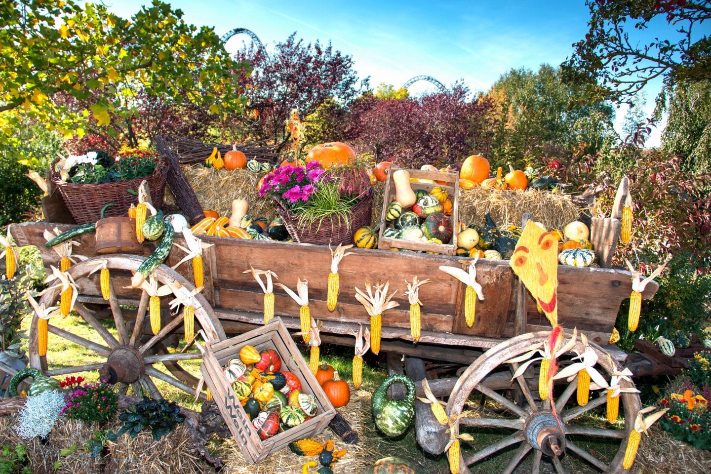 Altweibersommer & Herbst-Events: Herbstliche Highlights für die ganze Familie Altweibersommer BM 2 1