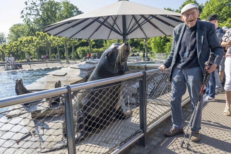 100 Jahre und kein bisschen müde: Professor feiert Geburtstag mit Seelöwen in der Wilhelma 100 Jahre und kein bisschen müde: Professor feiert Geburtstag mit Seelöwen in der Wilhelma