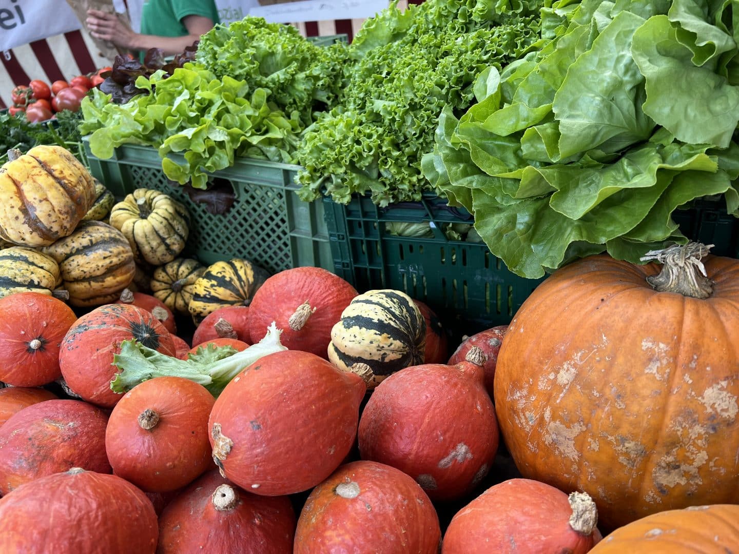 Regionale Erzeuger beiten ihre saisonalen Produkte na. Hier Salat und Kürbise