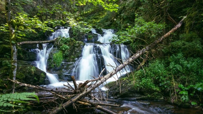 Wandertipp / Abenteuer Rötenbachschlucht –Wandern durch die wilde Romantik des Schwarzwalds
