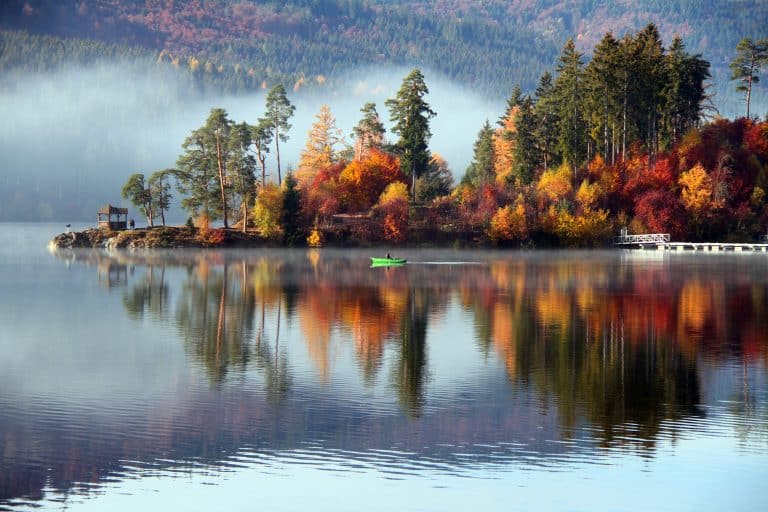 Das Wetter für Baden-Württemberg: Mild, neblig und wechselhaft – Herbst im vollen Gange!