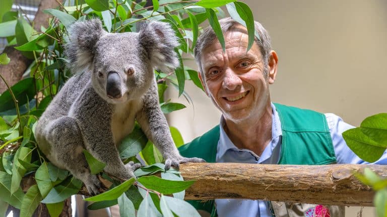 „Tierschutz weiter stärken“: Wilhelma begrüßt neue Gesetzesnovelle „Tierschutz weiter stärken“: Wilhelma begrüßt neue Gesetzesnovelle