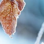 Kühle Herbsttage in Baden-Württemberg: Schauer, Gewitter und Frostgefahr Kühle Herbsttage in Baden-Württemberg: Schauer, Gewitter und Frostgefahr