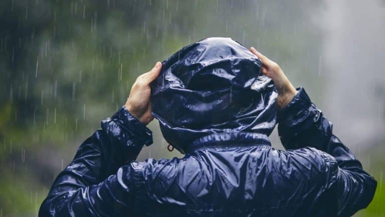 Stürmisches Herbstwetter für Baden-Württemberg: Regen, stürmische Böen und ein kühler Start in den Oktober!
