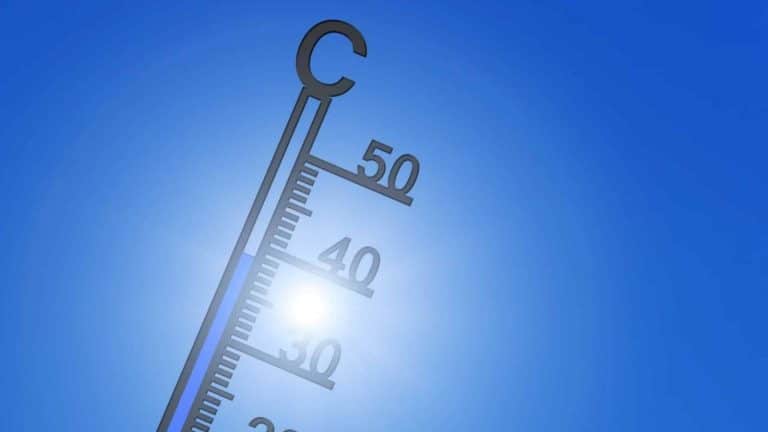 Freitag war brütend heiß: 34,2 Grad – Die Stadt in Baden-Württemberg war der heißeste Ort in ganz Deutschland