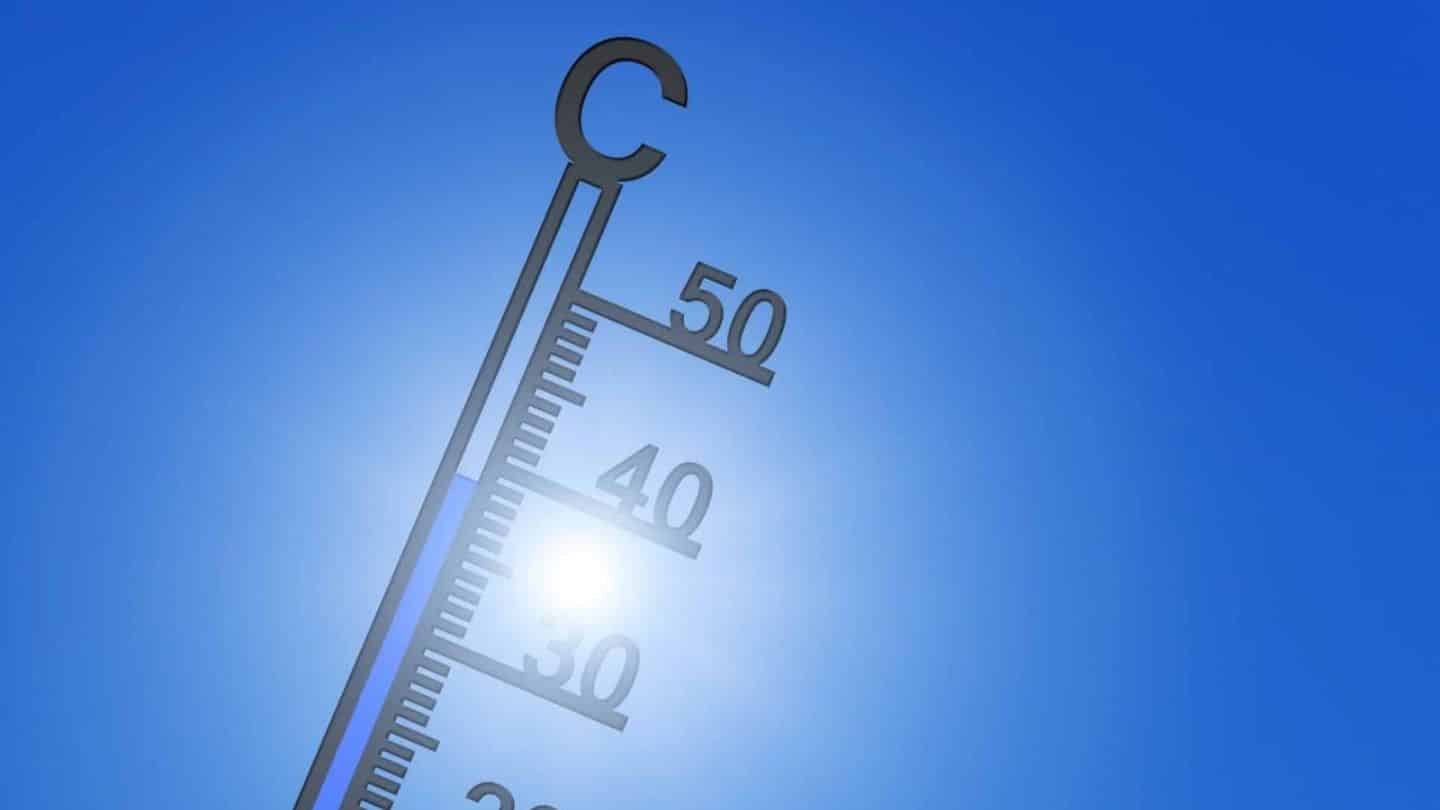 Freitag war brütend heiß: 34,2 Grad – Die Stadt in Baden-Württemberg war der heißeste Ort in ganz Deutschland