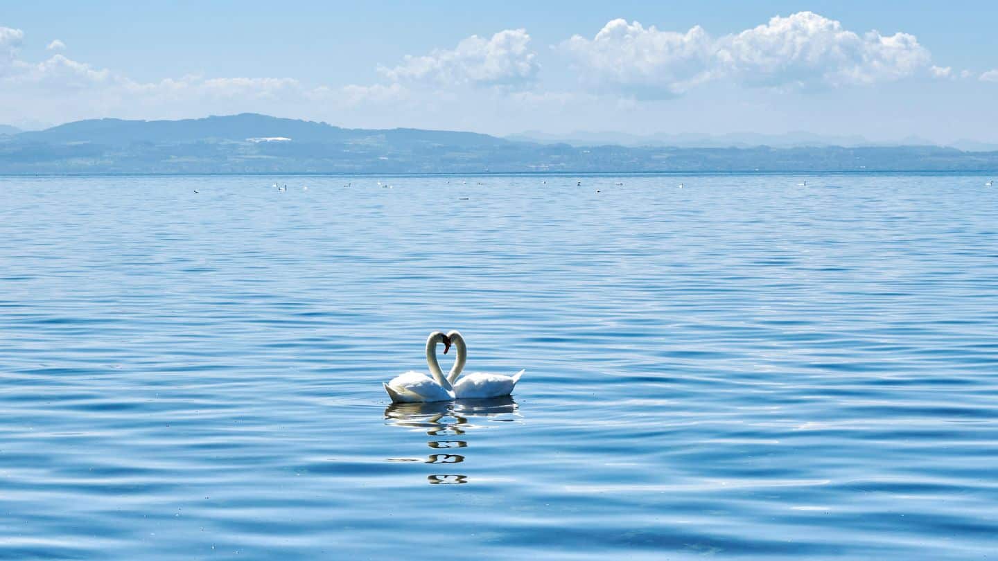 Die Top 10 der deutschen Seen: Bodensee landet auf Platz 2 bei „Dein Lieblingssee 2024“