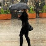 Wetter in Baden-Württemberg: Nebel, Regen und stürmische Böen ziehen durchs Land