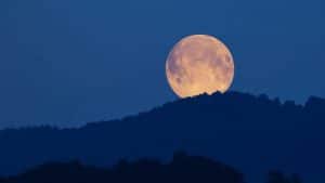 Supermond im Dezember 2025: Letzter Vollmond des Jahres trifft auf Planeten-Parade – das große Himmelsfinale Supermond im Dezember 2025: Letzter Vollmond des Jahres trifft auf Planeten-Parade – das große Himmelsfinale