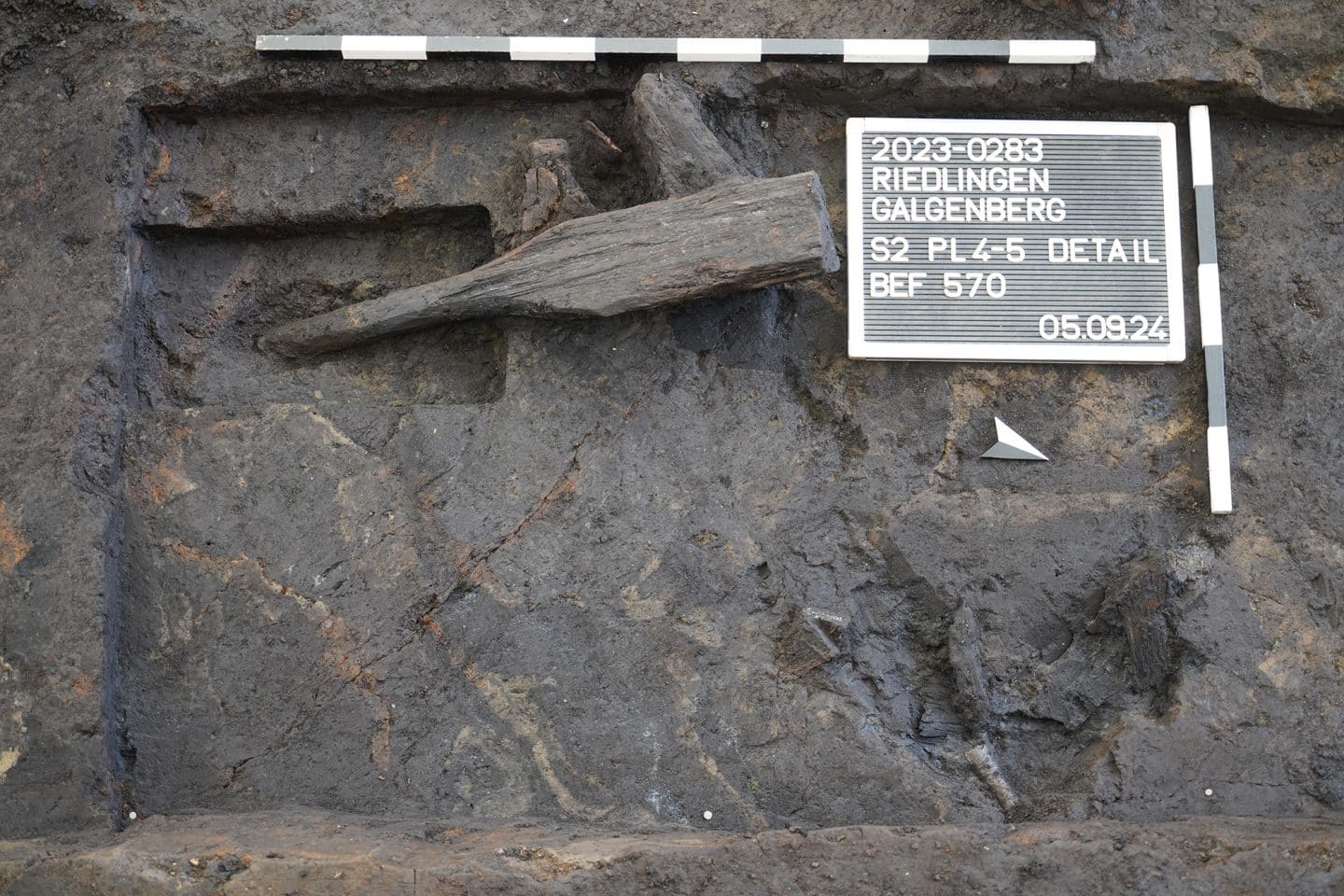 Sensation in Baden-Württemberg: Spektakuläre 2.600 Jahre alte Kelten-Grabkammer bei Riedlingen entdeckt! 09 Auf das Jahr 585 v. Chr. datierter Holzgegenstand vor der Bergung