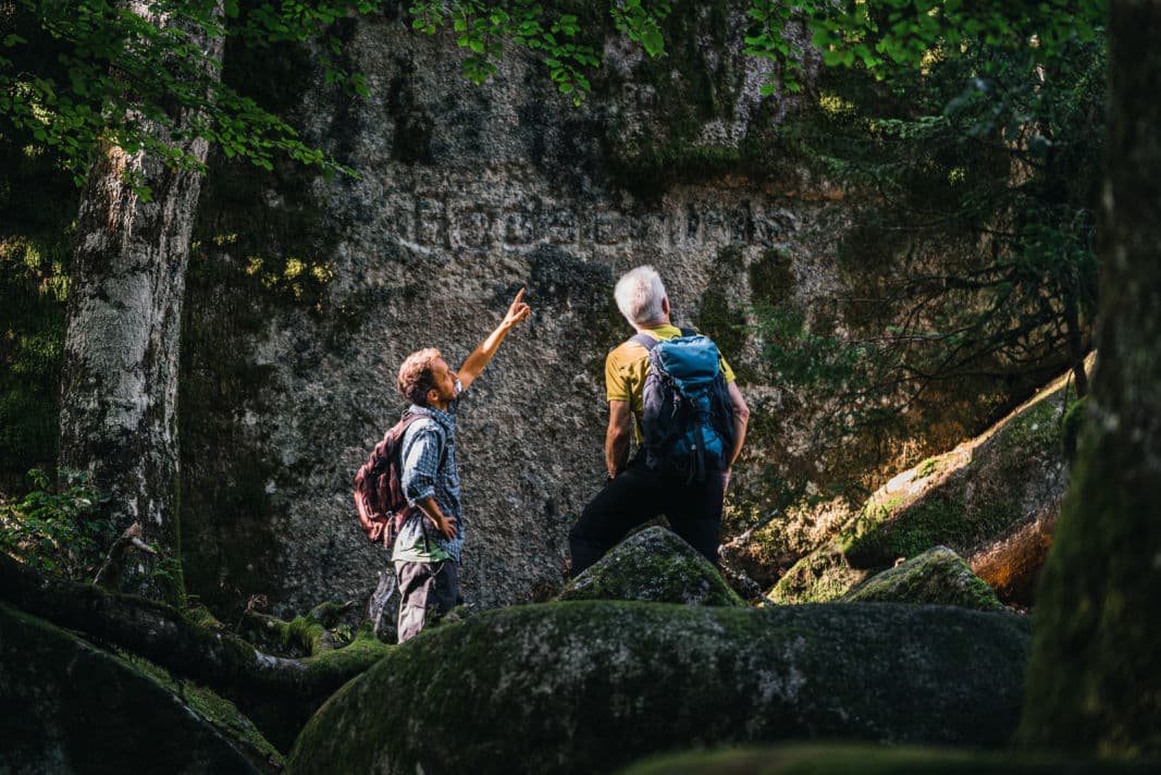 SummitLynx erweitert Angebot: Ab 2024 Wandernadeln im Schwarzwald sammeln