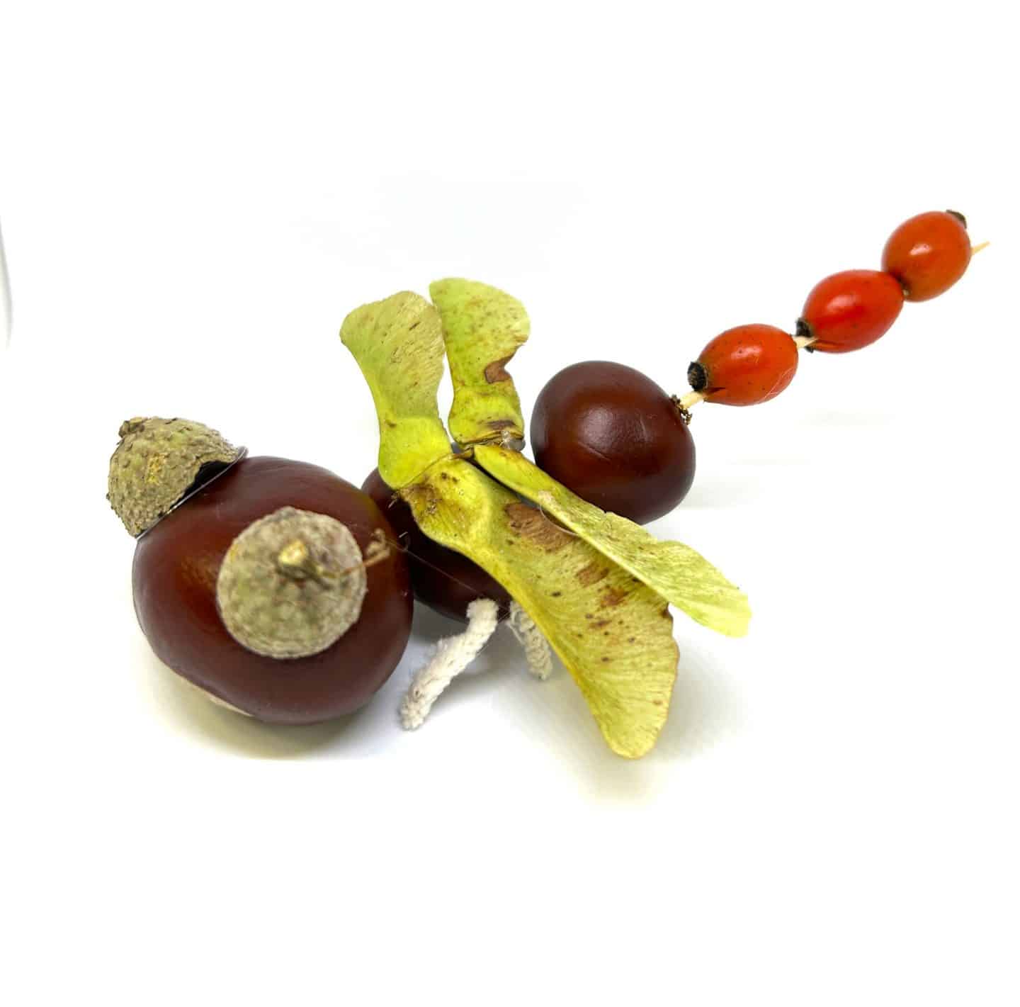 Wilde Wochenenden: Herbstbasteln mit Kastanientieren in der Wilhelma KW40 Herbstbasteln mit Kastanientieren Libelle