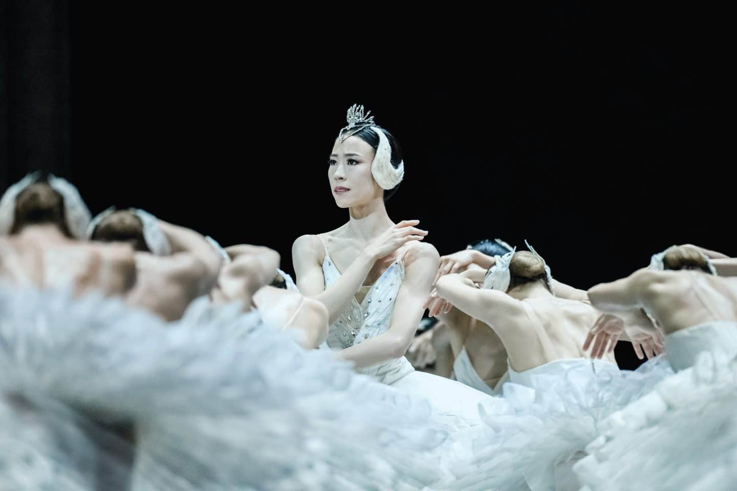 NUR 3 TAGE: Ballett auf der Kinoleinwand – Tschaikowskis „Schwanensee“ im IMAX Sinsheim!