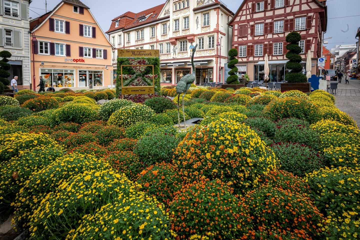 25 Jahre Chrysanthema in Lahr: Europa-Park verwandelt Sonnenplatz in blühendes Kunstwerk