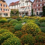 25 Jahre Chrysanthema in Lahr: Europa-Park verwandelt Sonnenplatz in blühendes Kunstwerk 25 Jahre Chrysanthema in Lahr: Europa-Park verwandelt Sonnenplatz in blühendes Kunstwerk