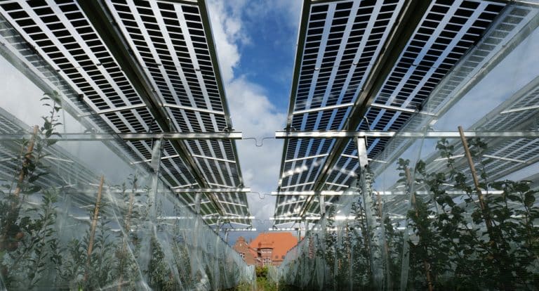 Agri-Photovoltaik-Forschungsanlage bei Karlsruhe eröffnet: Nachhaltige Landwirtschaft der Zukunft