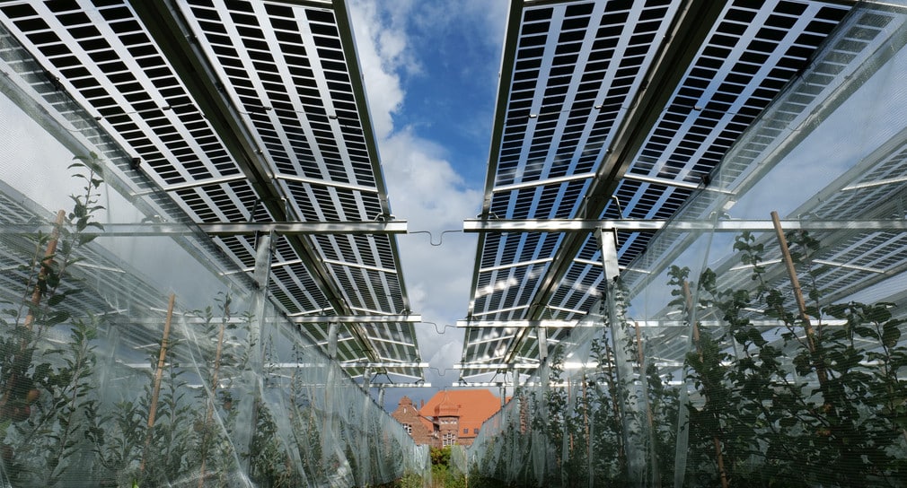 Agri-Photovoltaik-Forschungsanlage bei Karlsruhe eröffnet: Nachhaltige Landwirtschaft der Zukunft