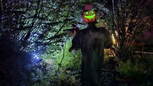 Kürbismann Traktorbahn