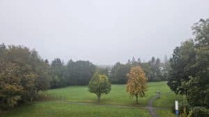 Wochenstart in Baden-Württemberg: Nebel, Sonne,  Frost – und Glättegefahr!