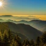 Mildes Wetter in Baden-Württemberg Südwesten – doch dichter Nebel sorgt für Glätte und schlechte Sicht